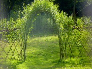 living willow arch